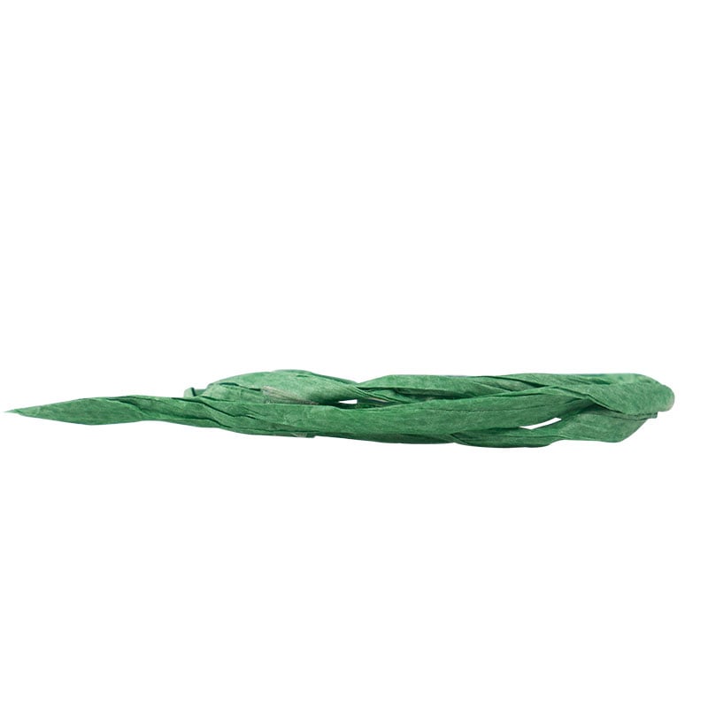 Papirbånd raffia grønn - 1