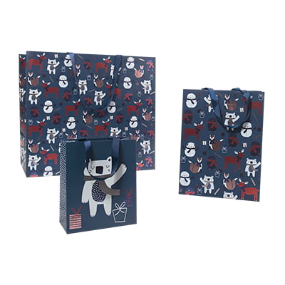 Presentpose Boby   SALG - 1