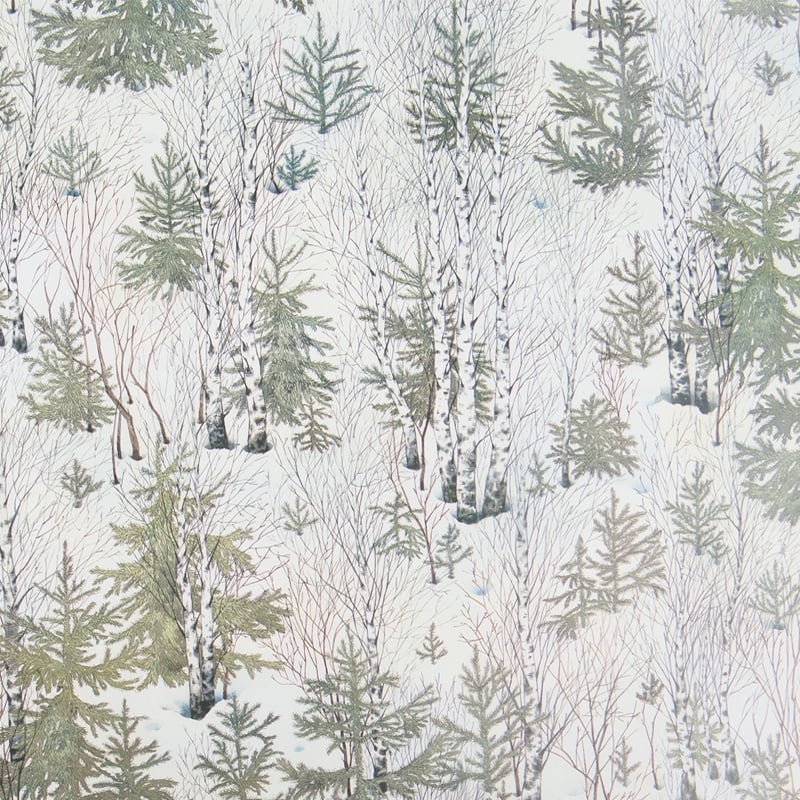 Gavepapir Birch - 1
