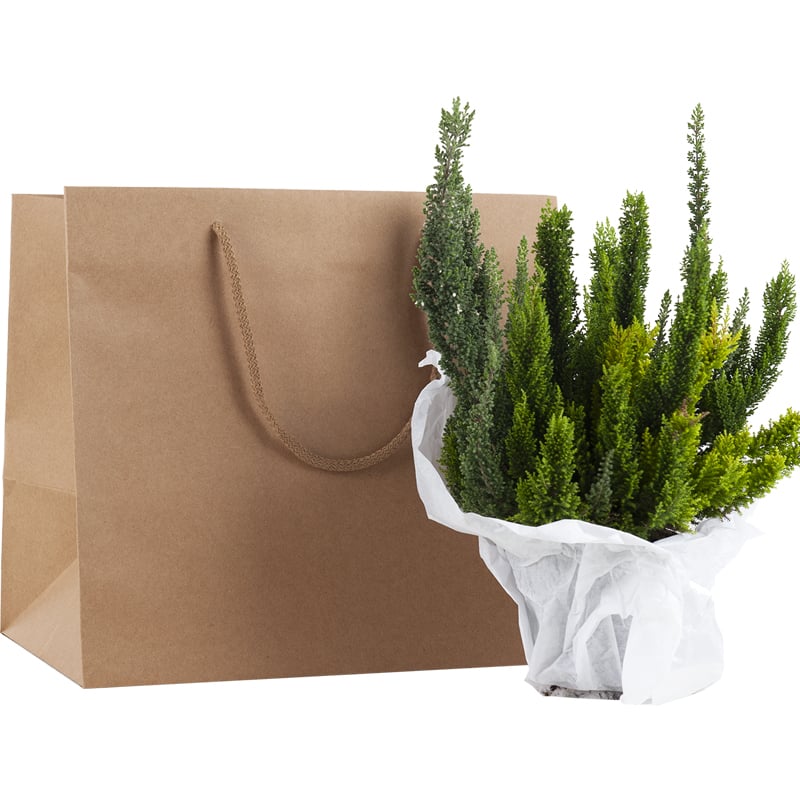 Luxpose gourmet natur - 2