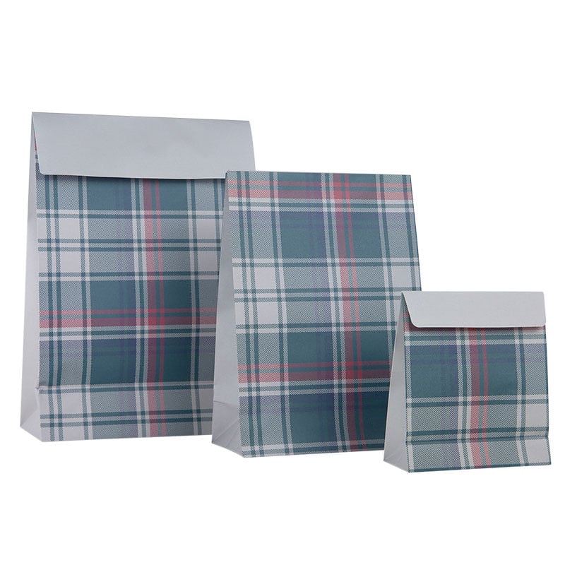 Presentpose Tartan SALG - 3